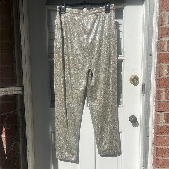 Anthro Metallic Shimmer Joggers - Picture 5 of 5